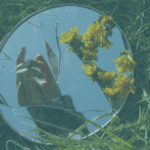 Twin Flame Consciousness