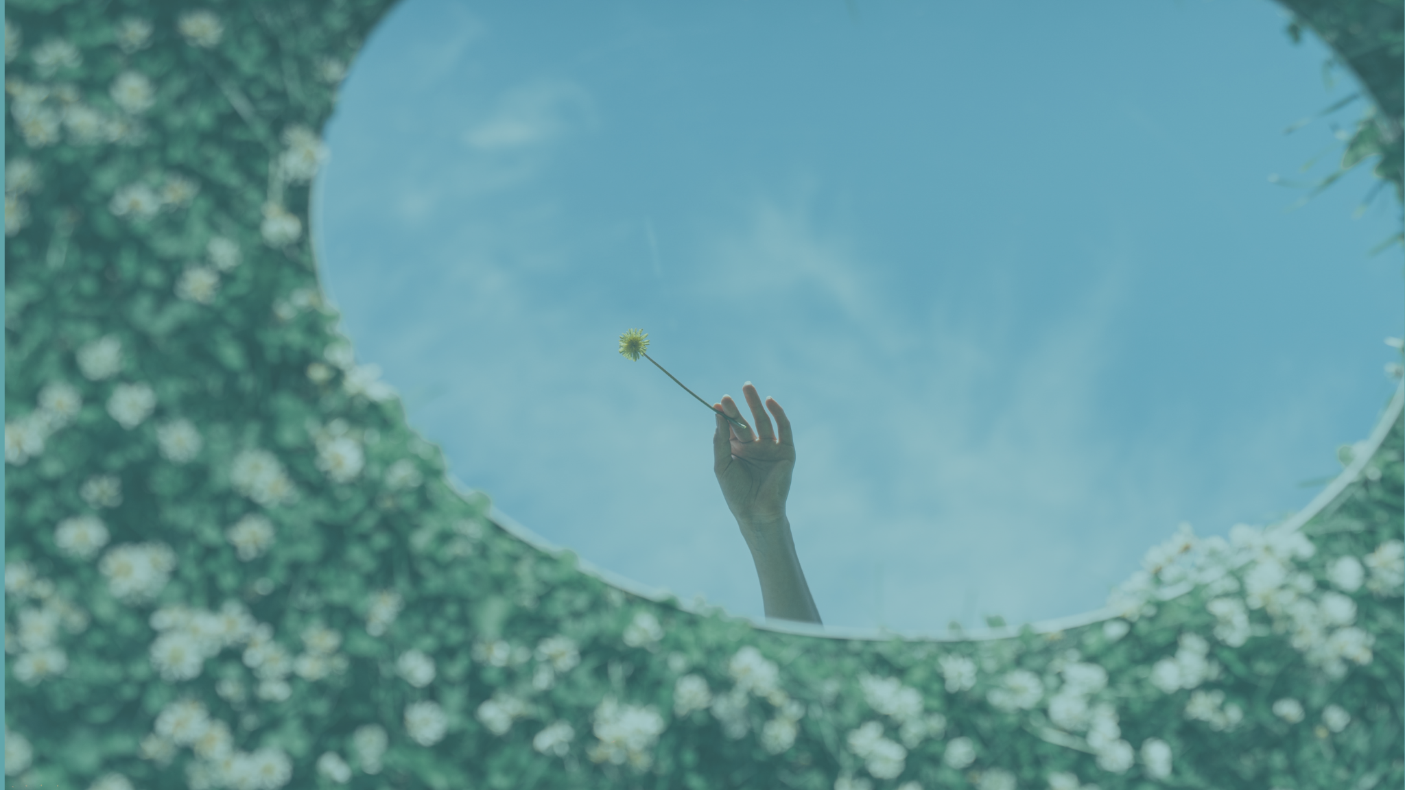 Home 7 twin flame mirroring 3